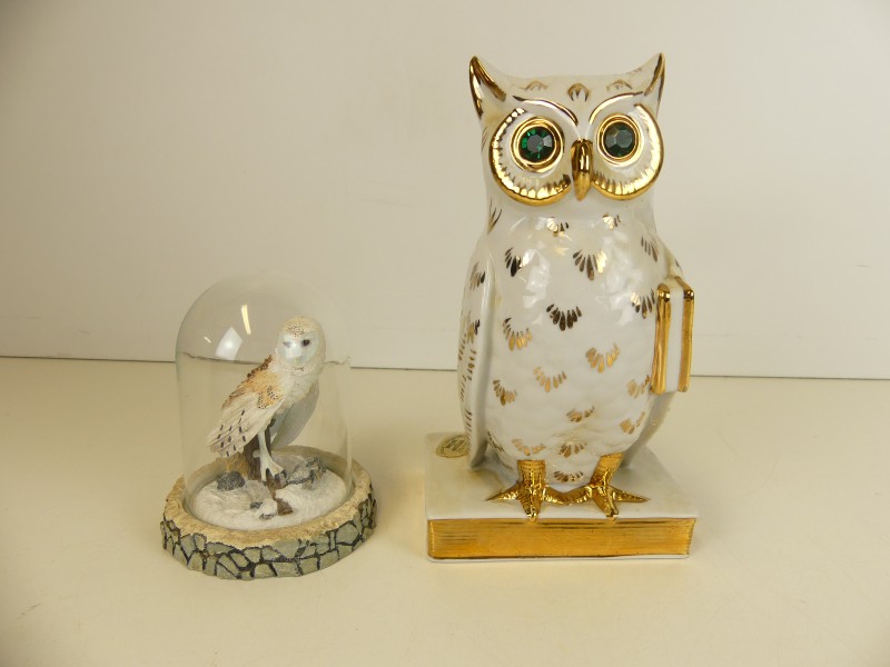 Vintage Porselein Uil beeldje + The Magnificent Barn Owl  beeldje