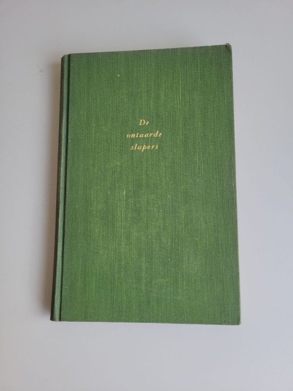 Boek: "De ontaarde slapers" van W. Ruyslinck