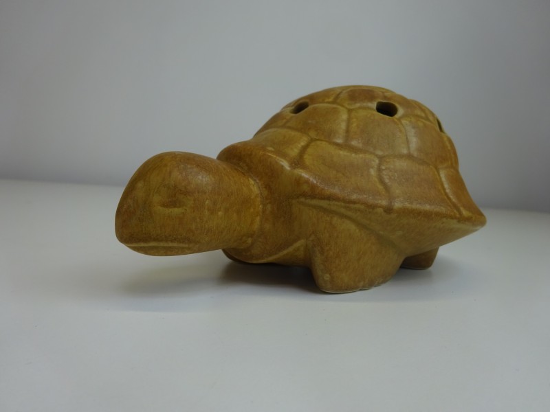 Schildpad in Zandsteen: Rhoda