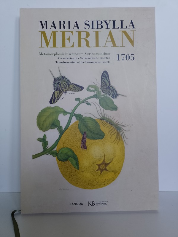 Boek Metamorphos insectorum Surinamensium Maria Sibylla Merian