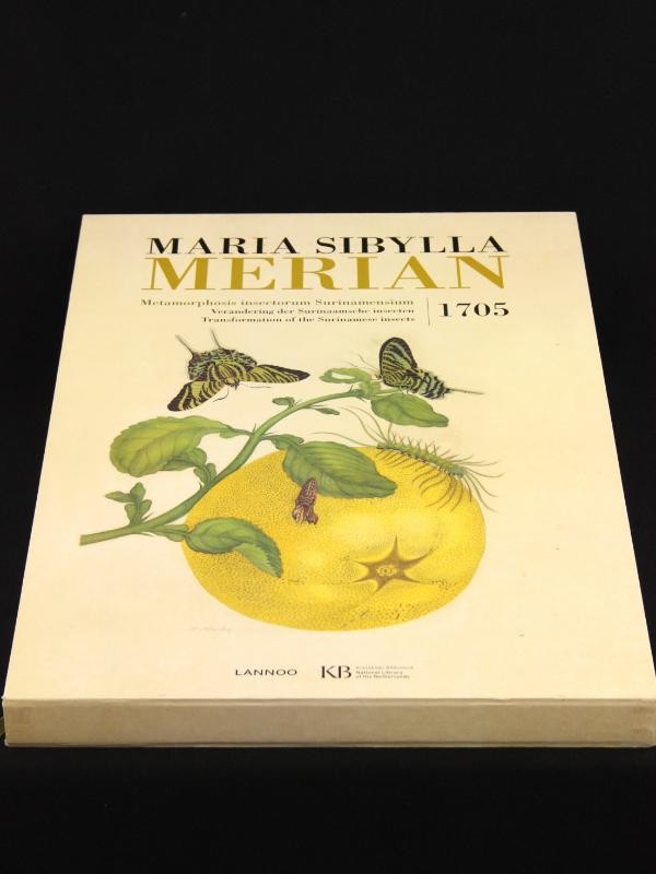 Maria Sibylla Merian. Metamorphosis insectorum Surinamensium