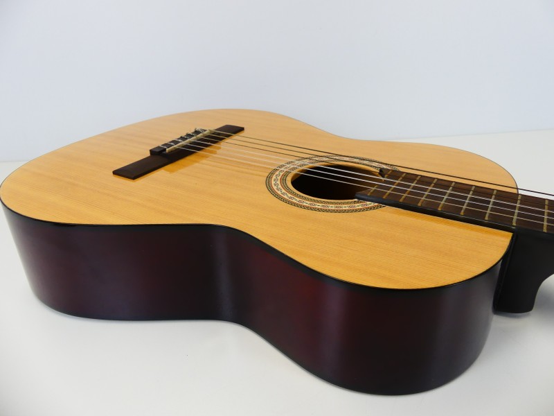 Fender FC-1 gitaar