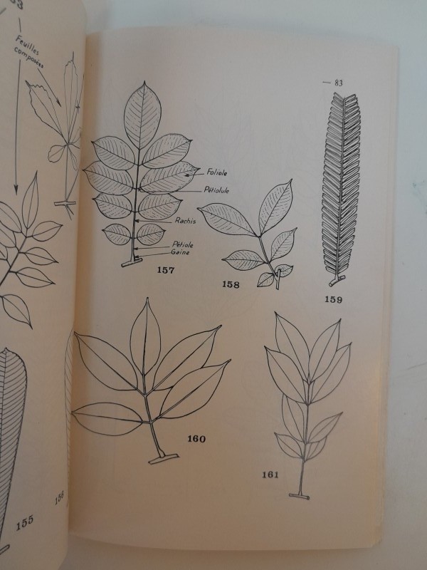 Boek: Manuel de botanique forestière - Afrique tropicale (3 delen) R. Letouzey