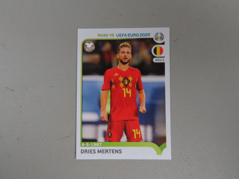 Collectie 492 EK 2020 Panini stickers