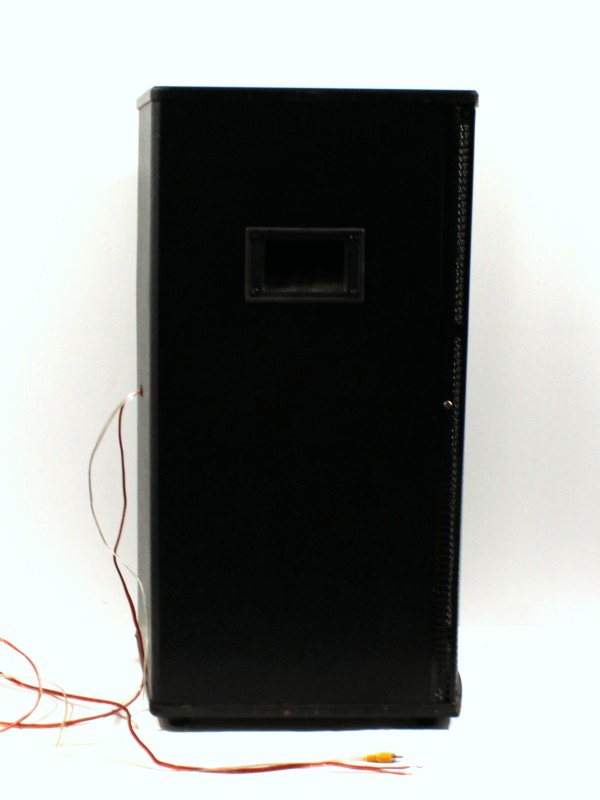 Professional Audio System Model F55A