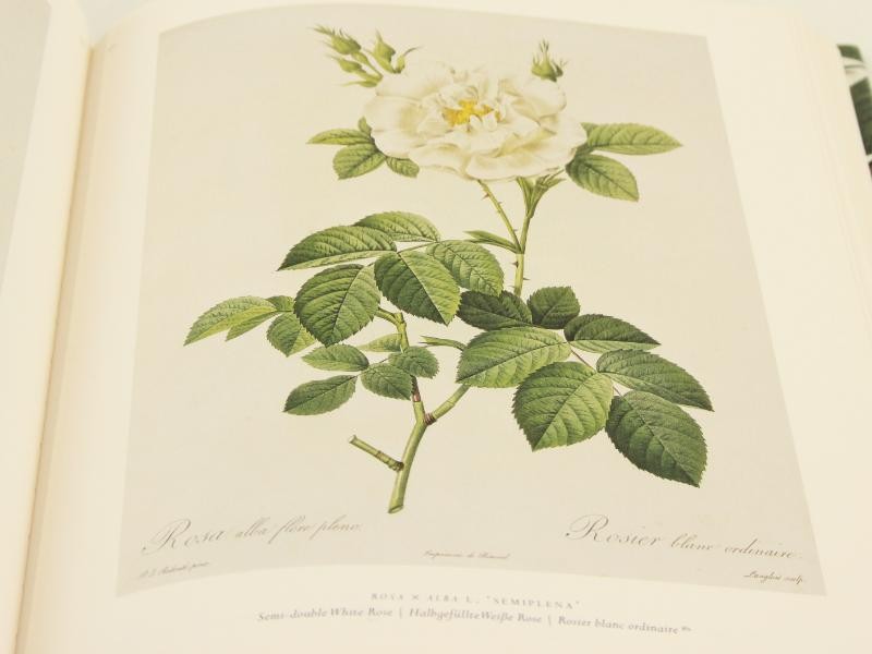 The Roses: Pierre-Joseph Redoute, 1759-1840