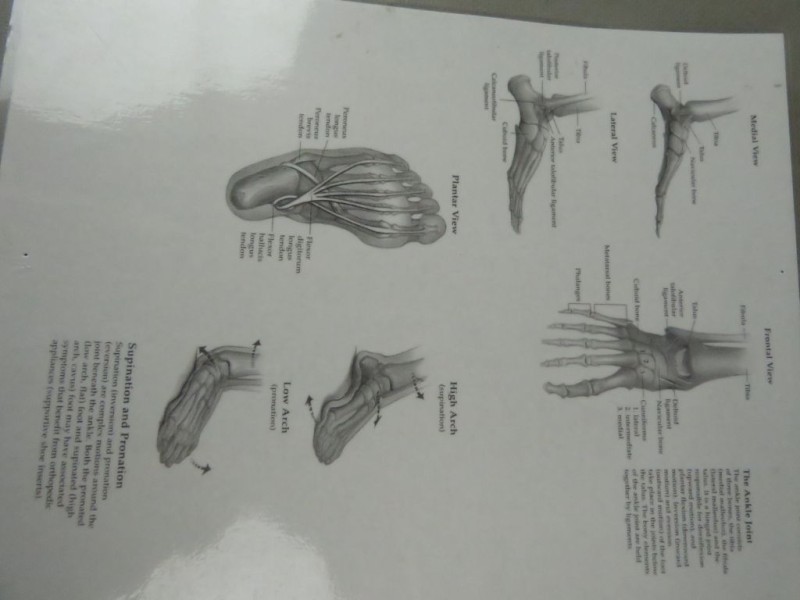 Studiemateriaal voeten