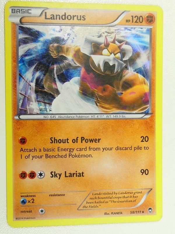 Pokémon Holo cards - 50 stuks