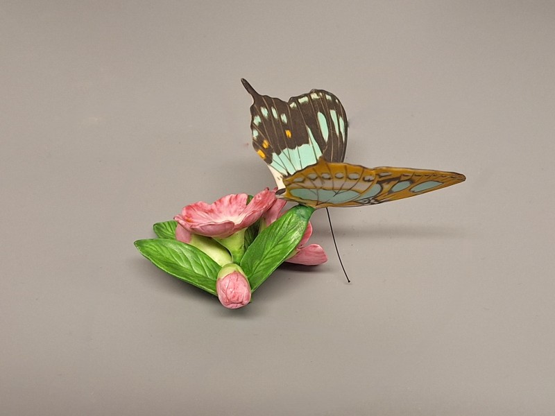 Franklin Mint Butterfly collectie 1