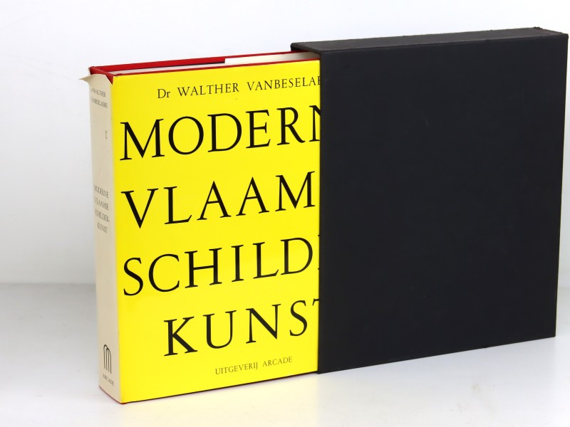 Boek Moderne Vlaamse Schilderkunst