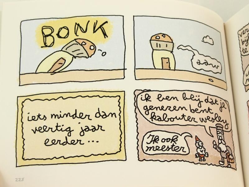 Het Kleine Kabouter Wesley Boek - Jonas Geirnaert