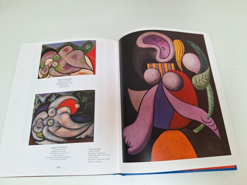 Boek Picasso - Carsten-Peter Warncke en Ingo F. Walther