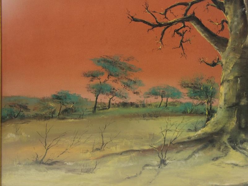 Schilderij Afrikaans landschap met baobab