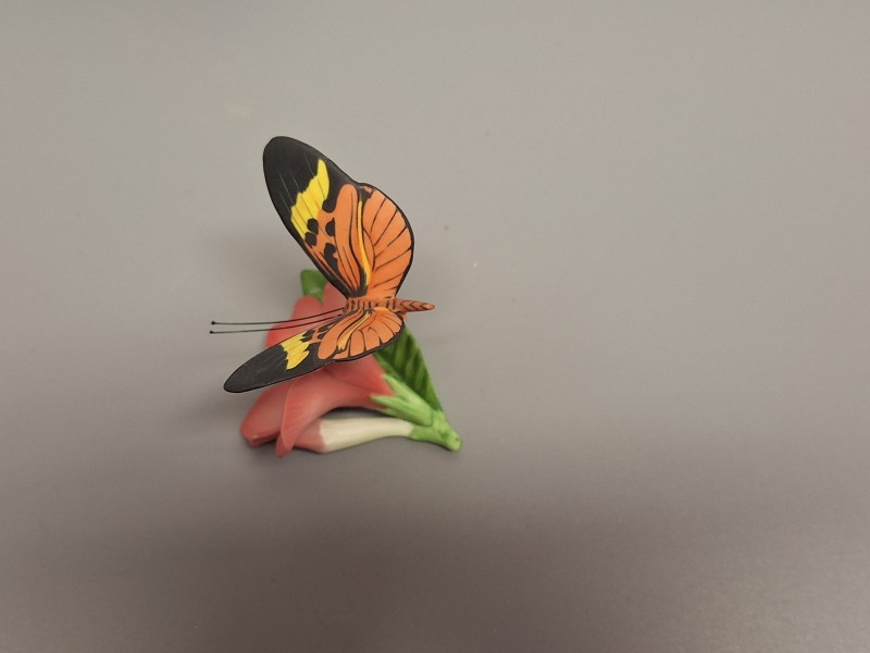 Franklin Mint Butterfly collectie 2