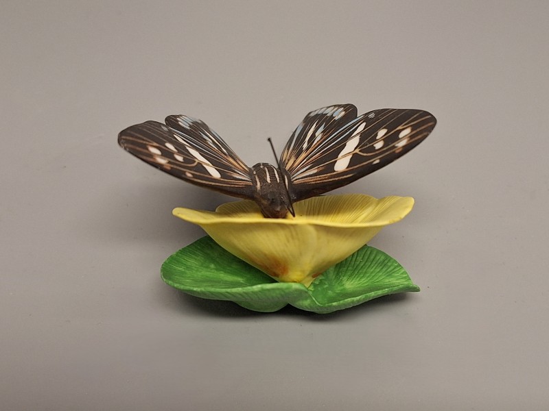 Franklin Mint Butterfly collectie 1