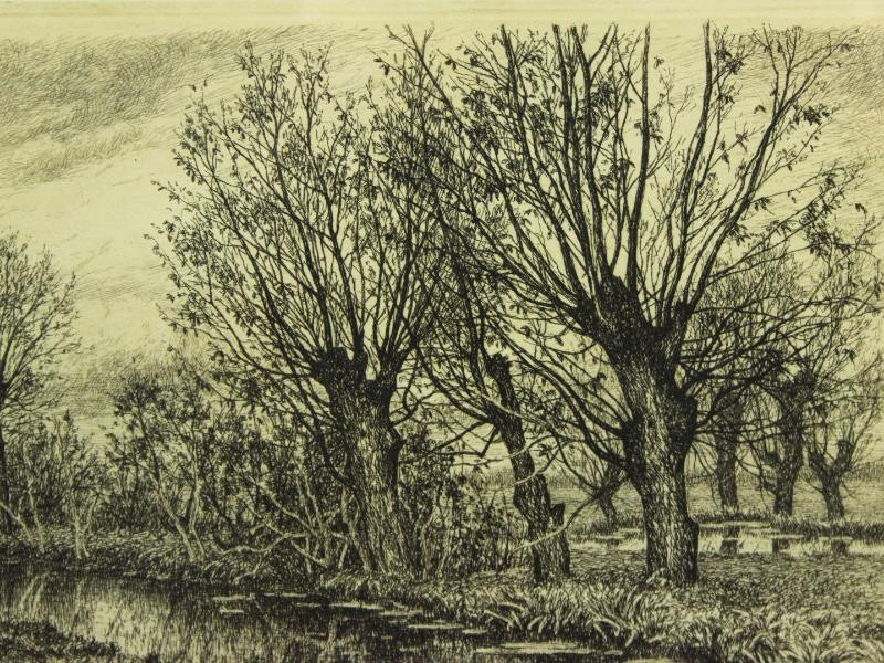 Ets landschap met knotwilgen - Alfred Elsen (1850-1914)