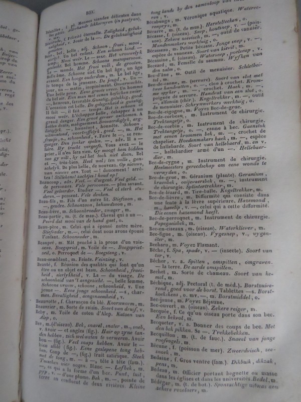 "Dictionnaire Français-Flamand" 1843