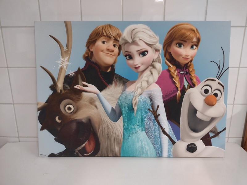 Duo canvassen Elza & Frozen vrienden