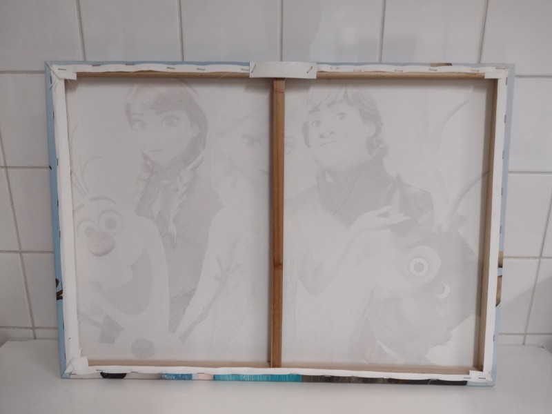 Duo canvassen Elza & Frozen vrienden