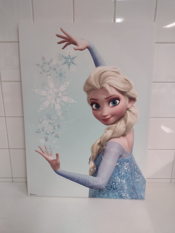 Duo canvassen Elza & Frozen vrienden