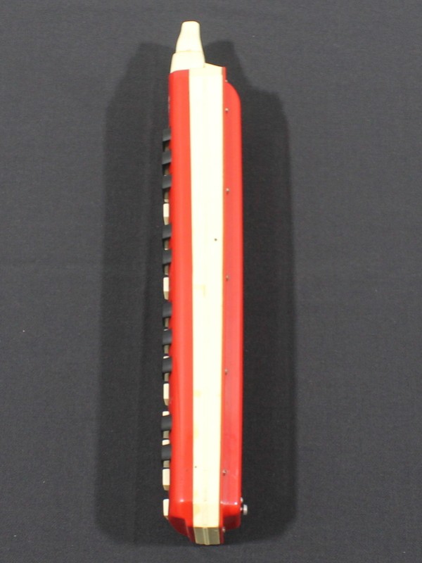 Vintage Hohner Melodica