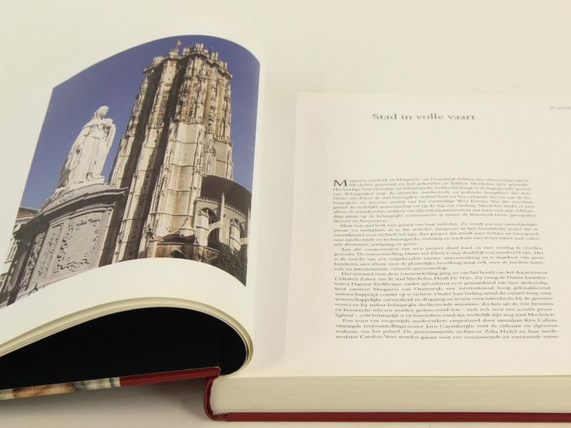 Kunstboek: Dames met Klasse door het Davidsfonds uit Leuven - jaar 2005