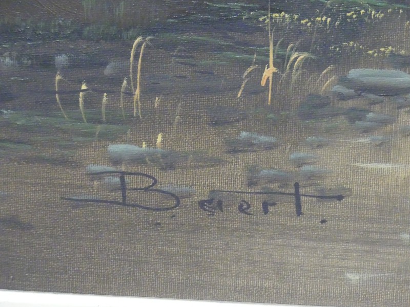 Olieverfschilderij op doek - landschap - gesigneerd