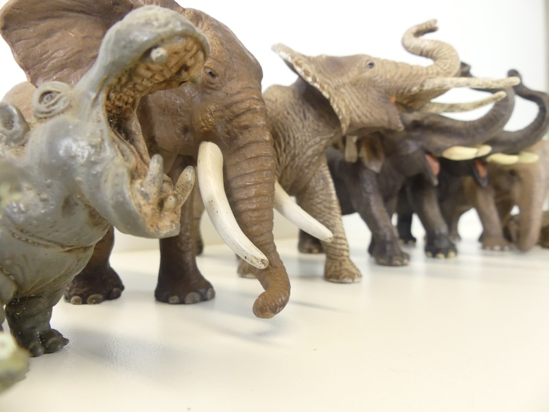 Schleich Zoo-Safari figuren