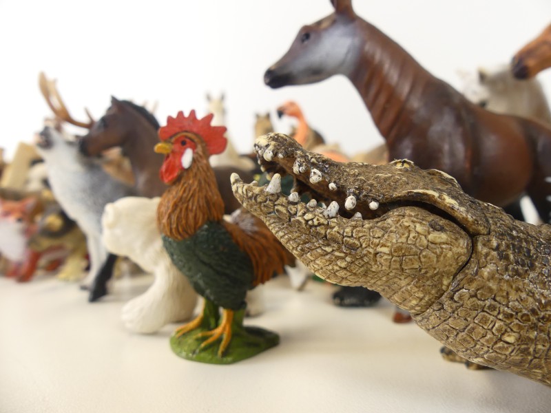 Schleich Zoo-Safari figuren