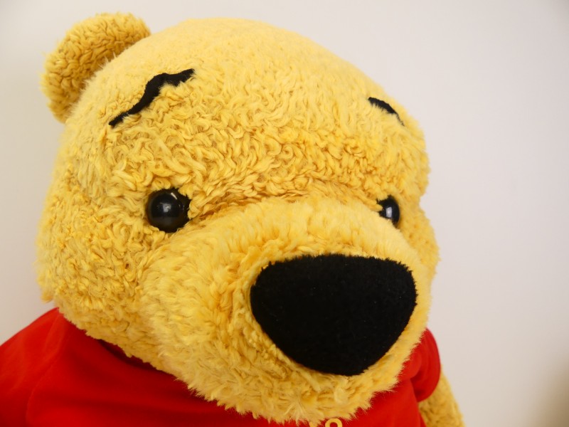 Disney Winnie the pooh knuffels