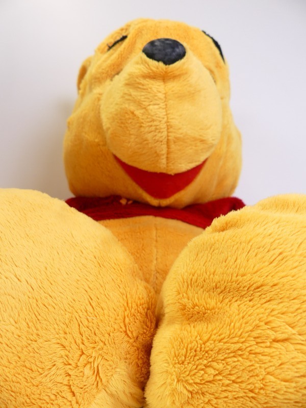 Disney Winnie the pooh knuffels