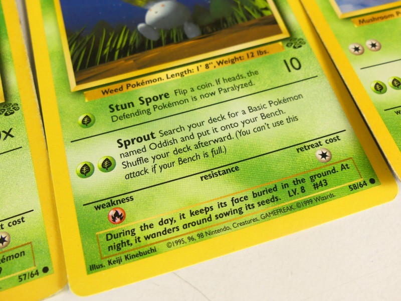 Pokémon Jungle Base set kaarten - ENG(ned/Fr)