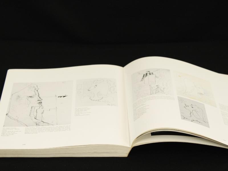 Franstalig kunstboek: Jean Cocteau over het Musée d'Ixelles uit 1991.