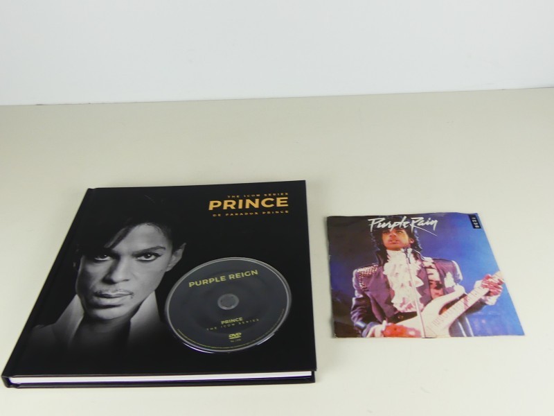 The Icon Series - Prince - de paradox prince