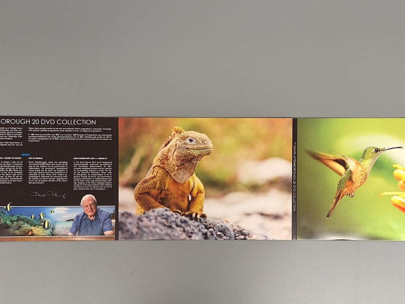 David Attenborough DVD’s