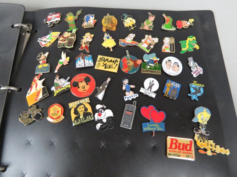 Verzameling zeldzame vintage pins