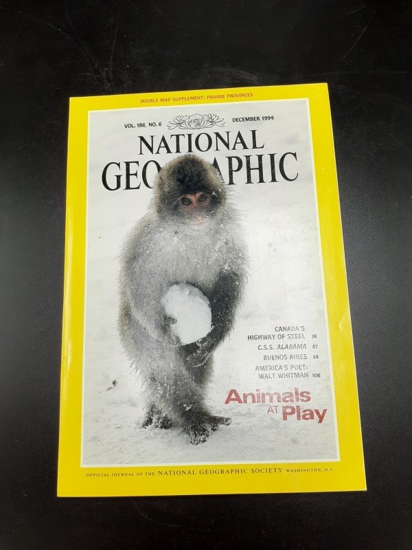 National Geographic magazines 1994 (pakket 9)