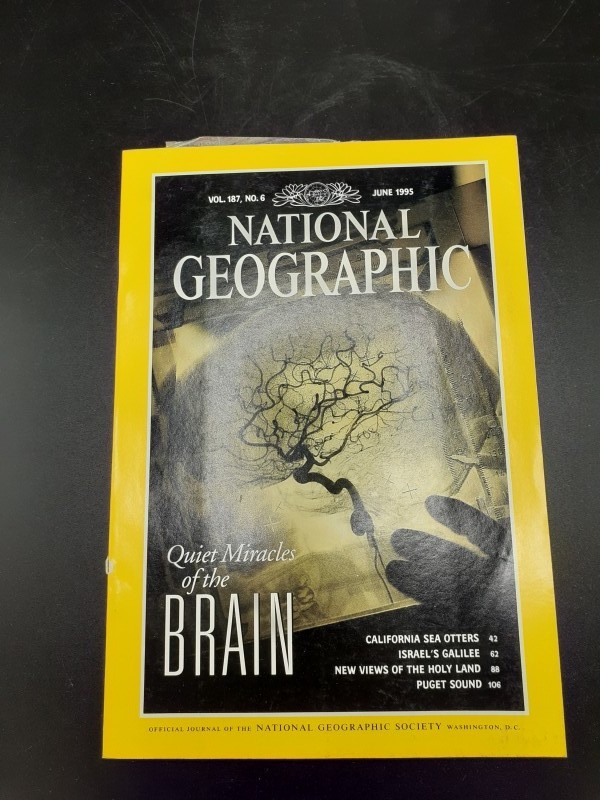 National Geographic magazines 1995 (pakket 10)