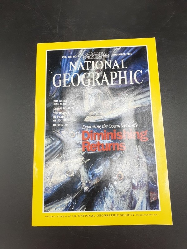 National Geographic magazines 1995 (pakket 10)