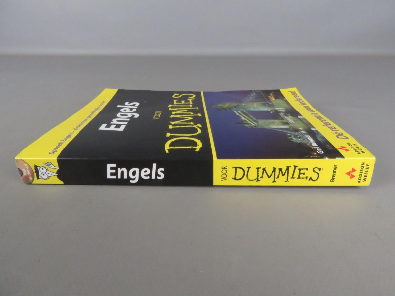 Paperback boek: Engels voor Dummies