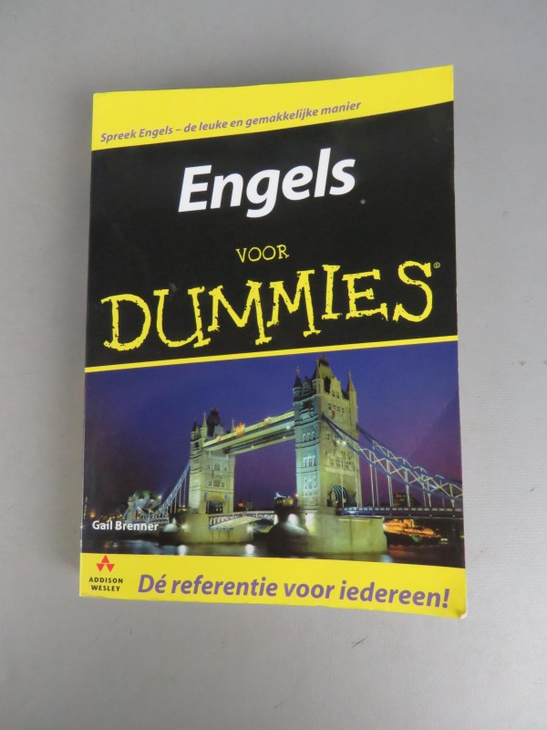 Paperback boek: Engels voor Dummies