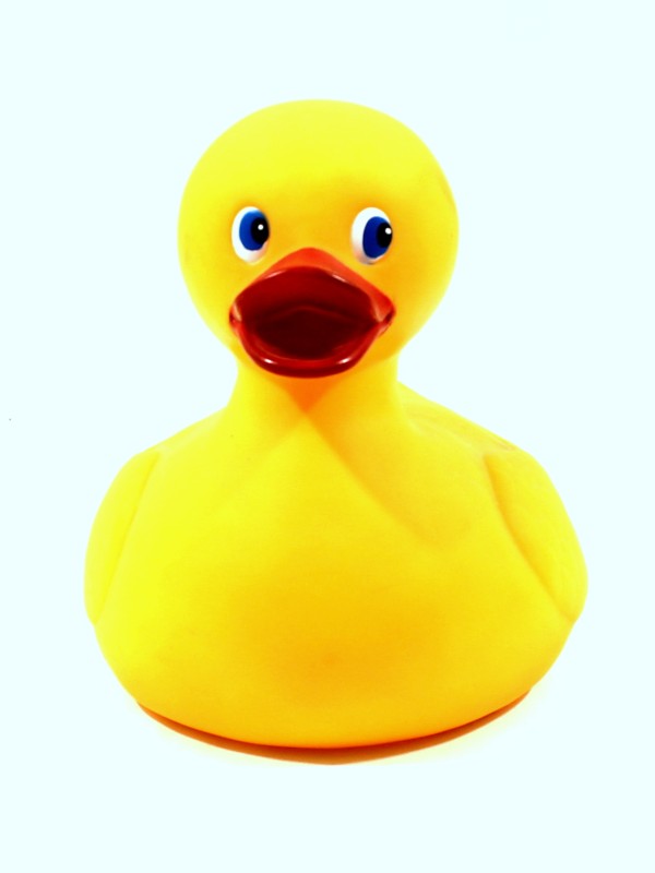 Rubber Duck