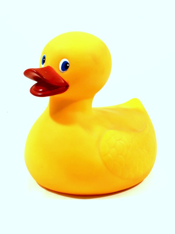 Rubber Duck