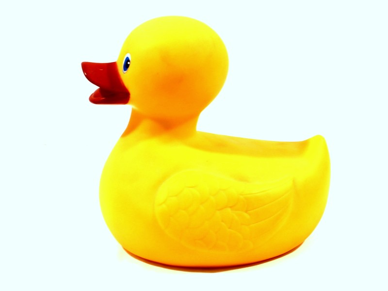 Rubber Duck