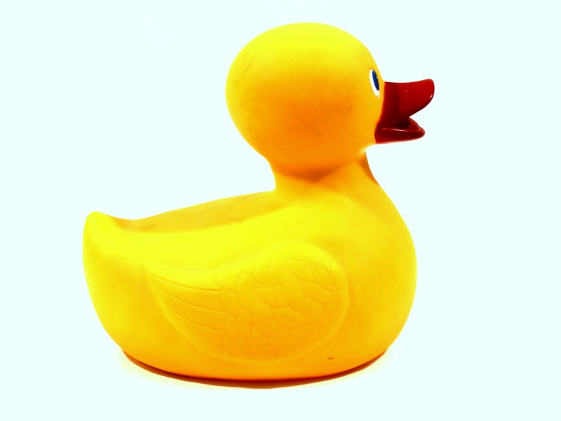 Rubber Duck