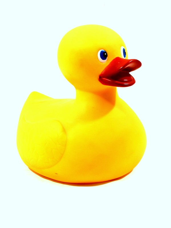 Rubber Duck