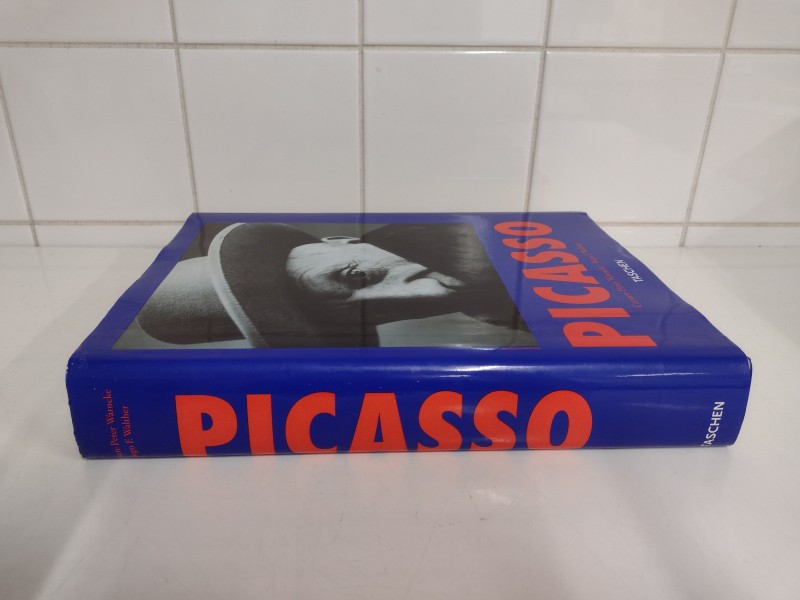 Boek Picasso