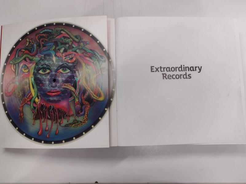 Boek Extraordinary Records