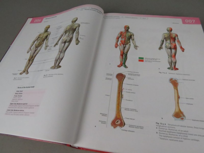 Boek Atlas of Human Anatomy Deel 1 Engels