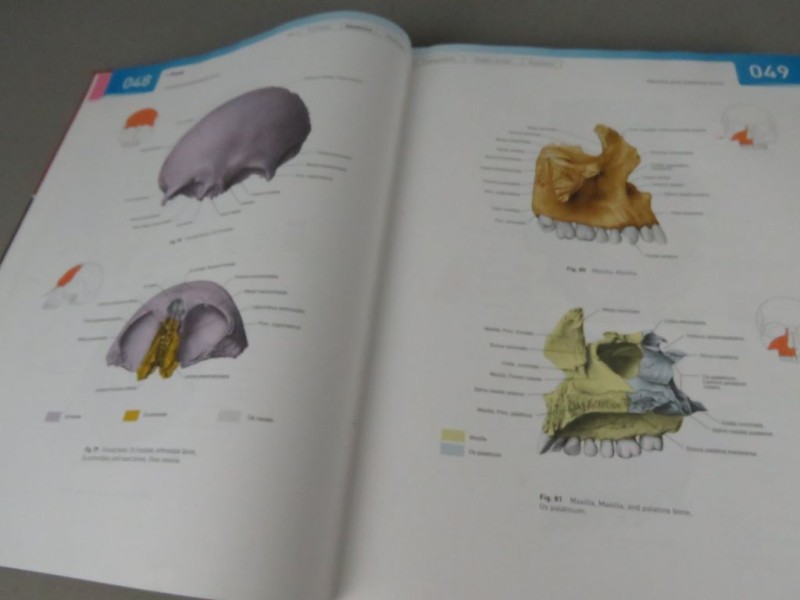 Boek Atlas of Human Anatomy Deel 1 Engels